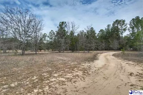 tbd Ozelma Dr, Dillon, SC 29536 photo 2