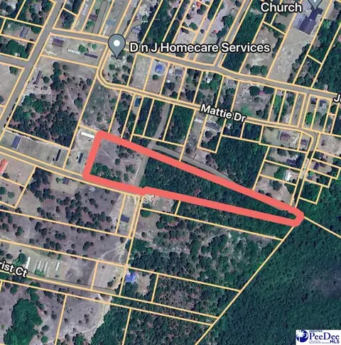 tbd Ozelma Dr, Dillon, SC 29536 photo 10