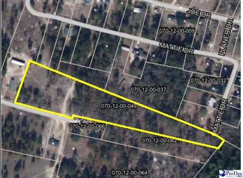tbd Ozelma Dr, Dillon, SC 29536 photo 8