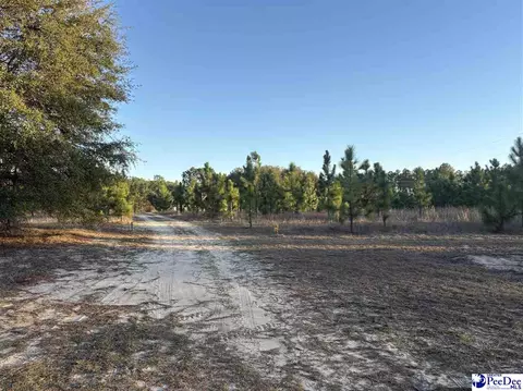 323 Hunts Ml, Patrick, SC 29584 photo 6