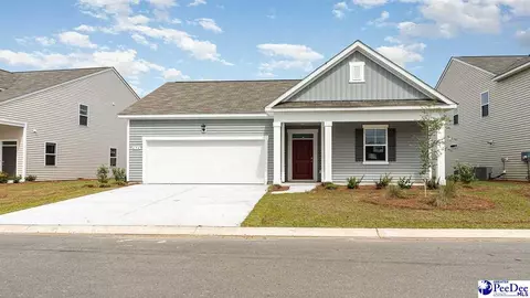 572 Strawberry Field Way, Galivants Ferry, SC 29544