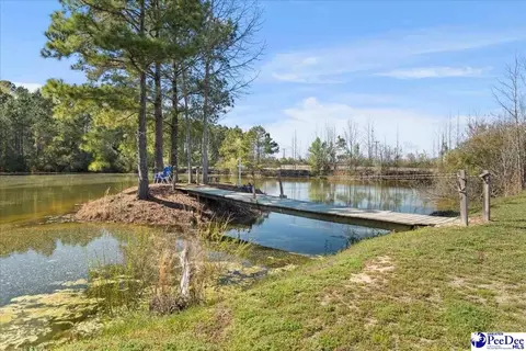1749 Wix Rd, Dillon, SC 29536 photo 52