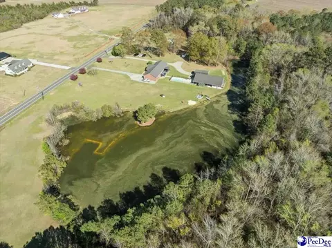 1749 Wix Rd, Dillon, SC 29536 photo 60