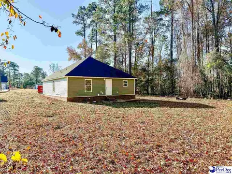 220 W 1st Ave, Pamplico, SC 29583 photo 3