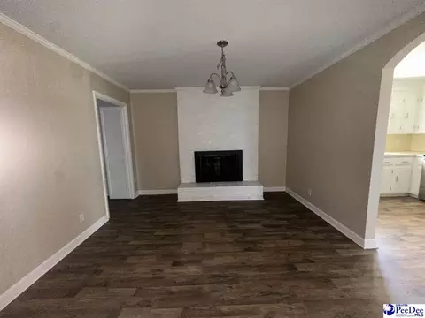 316 E Grace Dr, Florence, SC 29505 photo 10