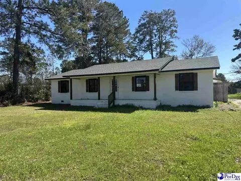 316 E Grace Dr, Florence, SC 29505 photo 1