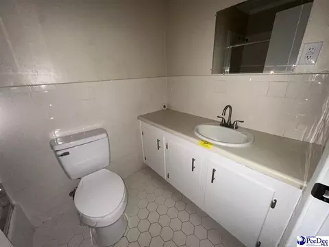 316 E Grace Dr, Florence, SC 29505 photo 16