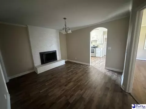 316 E Grace Dr, Florence, SC 29505 photo 9