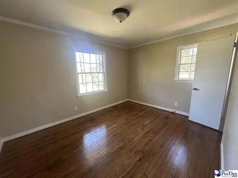 316 E Grace Dr, Florence, SC 29505 photo 18