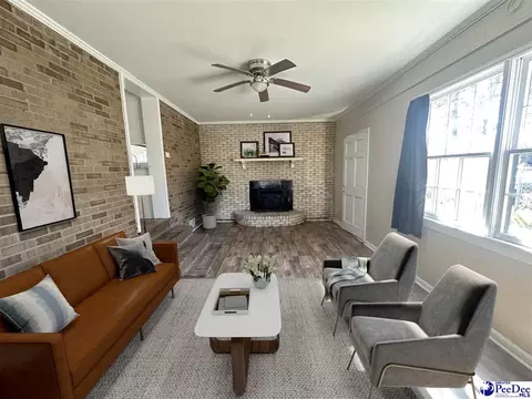 316 E Grace Dr, Florence, SC 29505 photo 13