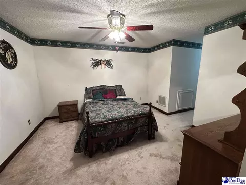 289 Bullard Ford Rd, Hartsville, SC 29550 photo 25
