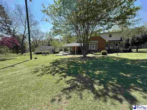 289 Bullard Ford Rd, Hartsville, SC 29550 photo 32