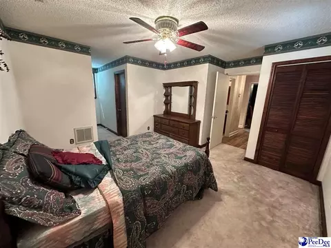 289 Bullard Ford Rd, Hartsville, SC 29550 photo 26