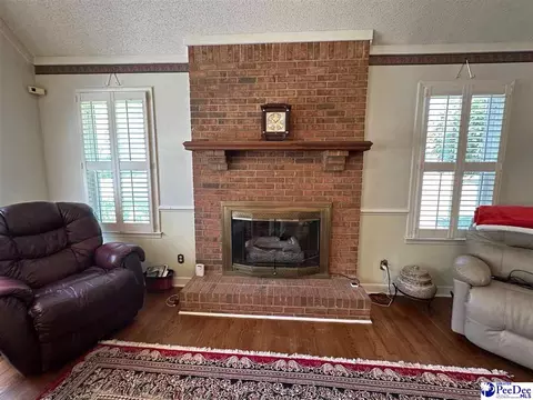 289 Bullard Ford Rd, Hartsville, SC 29550 photo 8