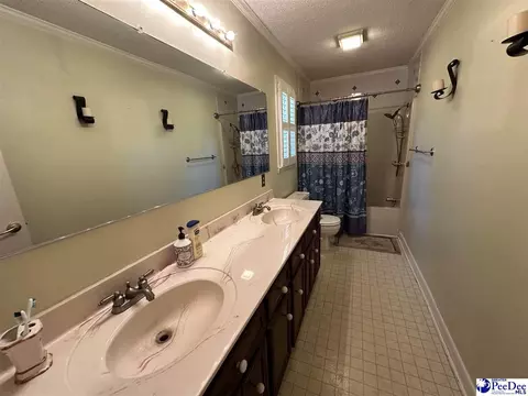 289 Bullard Ford Rd, Hartsville, SC 29550 photo 12