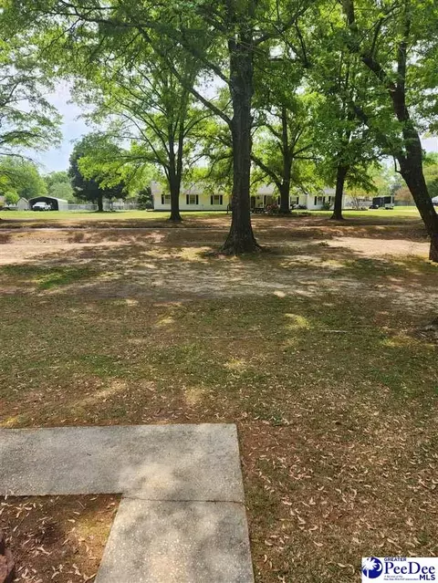 109 Bobwhite, Cheraw, SC 29520 photo 5