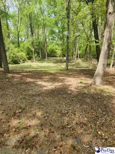 109 Bobwhite, Cheraw, SC 29520 photo 6