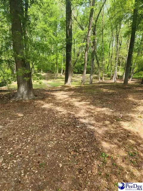109 Bobwhite, Cheraw, SC 29520 photo 8