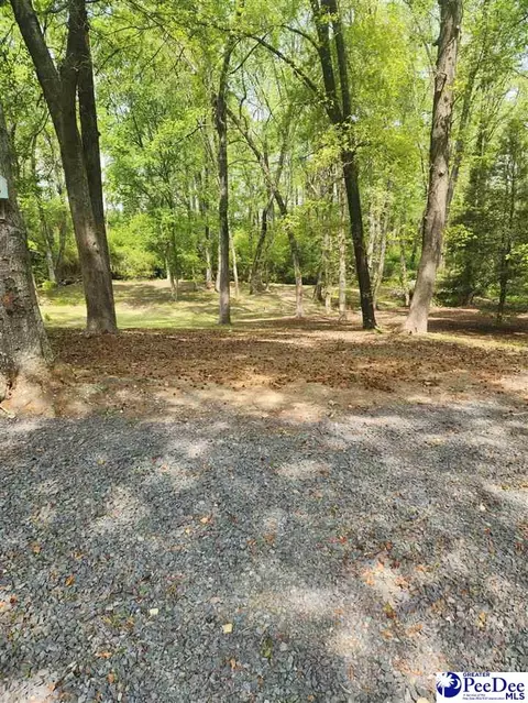 109 Bobwhite, Cheraw, SC 29520 photo 7