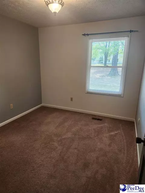 109 Bobwhite, Cheraw, SC 29520 photo 26