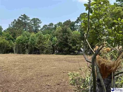 430 Alane St, Lake City, SC 29560