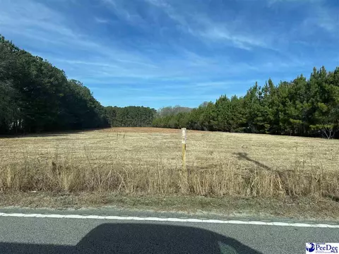 Mcallister Mill Rd, Lake City, SC 29560