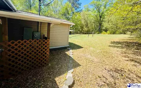 6238 W Market St Ext, Cheraw, SC 29520 photo 24