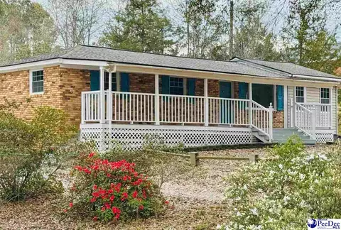 6238 W Market St Ext, Cheraw, SC 29520 photo 6