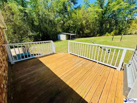 6238 W Market St Ext, Cheraw, SC 29520 photo 45