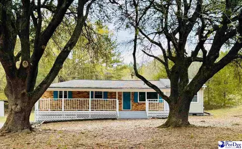 6238 W Market St Ext, Cheraw, SC 29520 photo 5