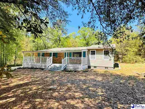 6238 W Market St Ext, Cheraw, SC 29520 photo 1