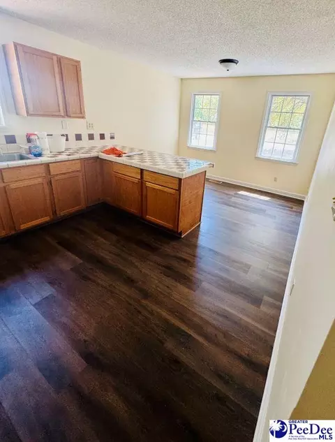 6238 W Market St Ext, Cheraw, SC 29520 photo 40