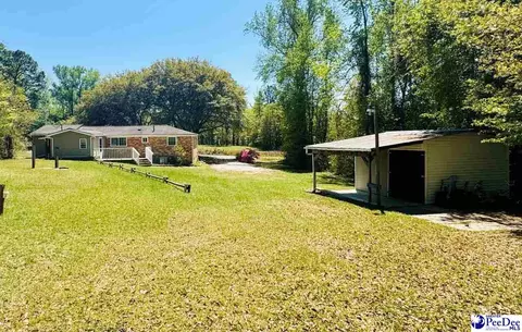 6238 W Market St Ext, Cheraw, SC 29520 photo 20