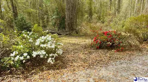 6238 W Market St Ext, Cheraw, SC 29520 photo 17