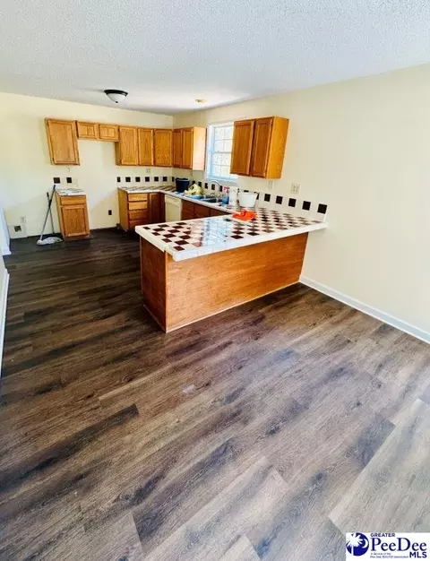 6238 W Market St Ext, Cheraw, SC 29520 photo 41