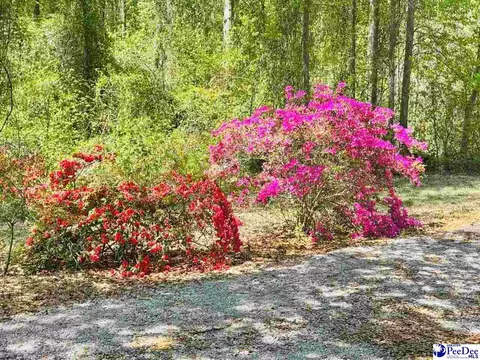 6238 W Market St Ext, Cheraw, SC 29520 photo 18