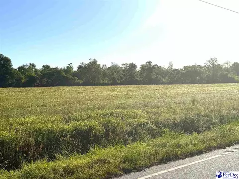 Tract 4 Borkowitz Road, Scranton, SC 29591 photo 3