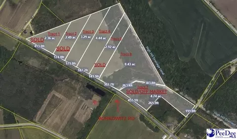 Tract 4 Borkowitz Road, Scranton, SC 29591 photo 1