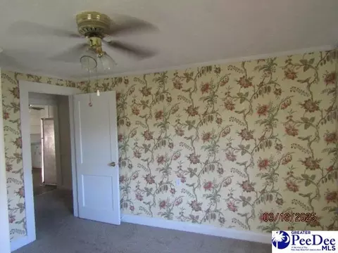 111 N Carolina Ave, Dillon, SC 29536 photo 11