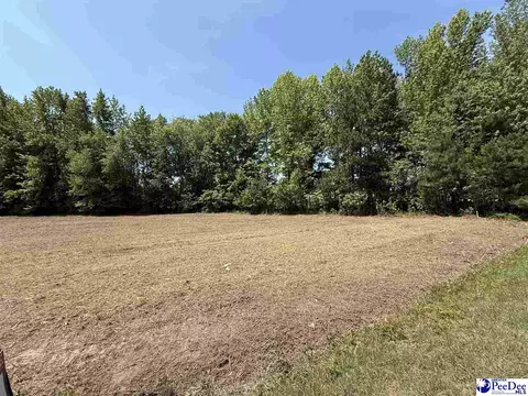 lot2 Lenson Mangum Rd, Pageland, SC 29728