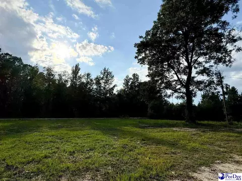 4088 Cherry Johnson Rd, Effingham, SC 29541 photo 2