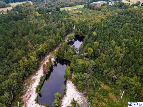 4088 Cherry Johnson Rd, Effingham, SC 29541 photo 11