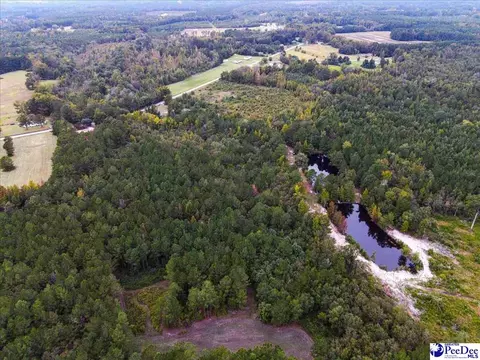 4088 Cherry Johnson Rd, Effingham, SC 29541 photo 3