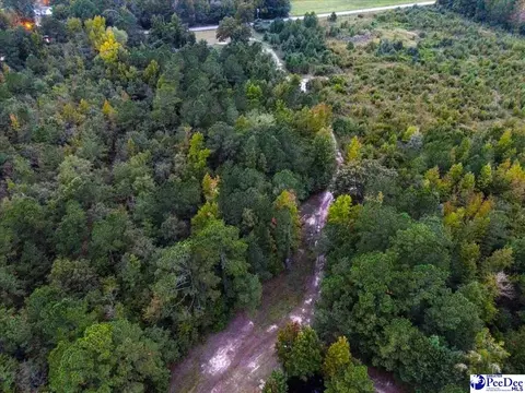 4088 Cherry Johnson Rd, Effingham, SC 29541 photo 7