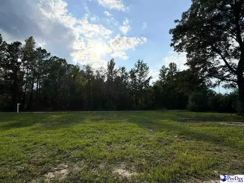 4088 Cherry Johnson Rd, Effingham, SC 29541 photo 5