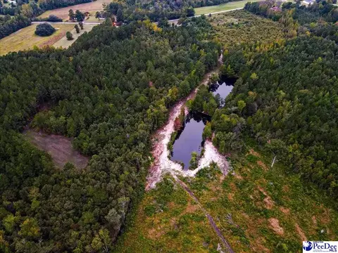 4088 Cherry Johnson Rd, Effingham, SC 29541 photo 1