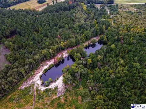 4088 Cherry Johnson Rd, Effingham, SC 29541 photo 13