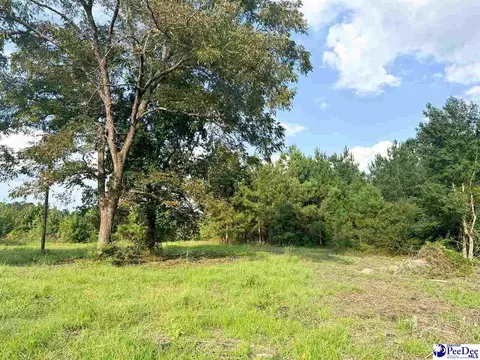 4088 Cherry Johnson Rd, Effingham, SC 29541 photo 4