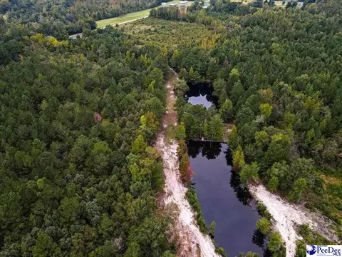 4088 Cherry Johnson Rd, Effingham, SC 29541 photo 12