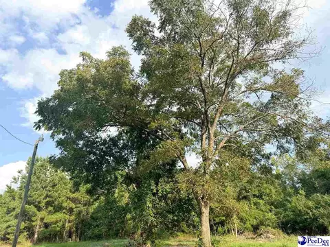 4088 Cherry Johnson Rd, Effingham, SC 29541 photo 8